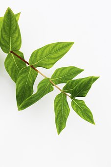高二历史:探索音乐与影视艺术的融合