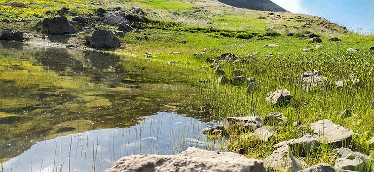 【家长心声】致14岁儿子的一封信