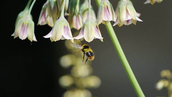 高一年级必修二生物重点知识点