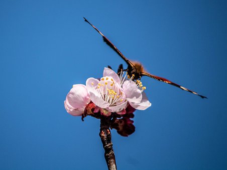 高考政治一轮备考课后复习要及时