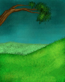 高考生物备考手册：重要知识点梳理（135）