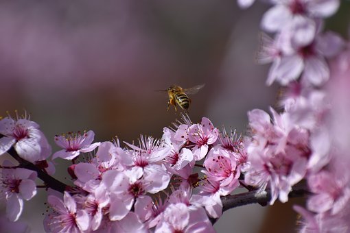 高中地理地方时计算