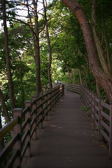 高考备考“十大策略”，用对能提20分