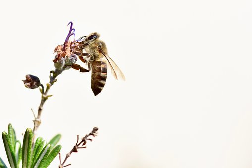 高考生物一轮复习新陈代谢与酶知识点