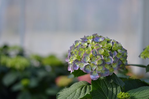 高考倒计时, 考生30条实用建议