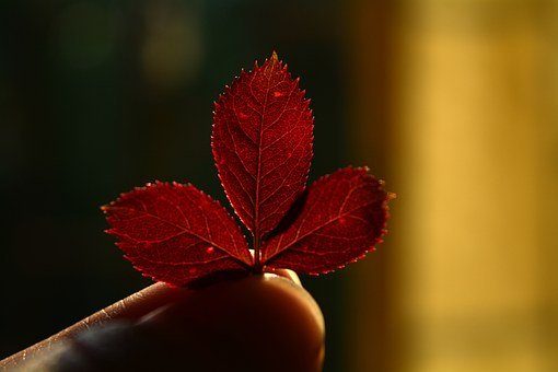 历史-高考现代史专题提升训练题（含答案）