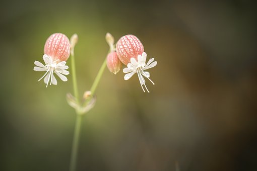 高考物理答题模板