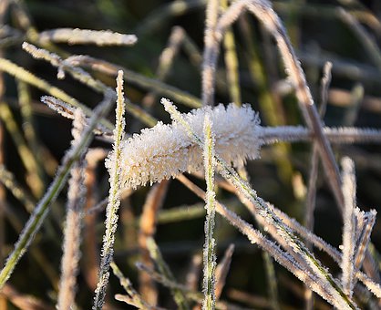 发现你的兴趣星球:让梦想之基更加坚固