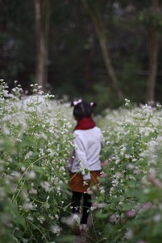高二地理：人口与环境关键知识点解析