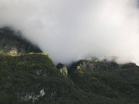 奉新一中高二历史期末试卷