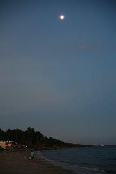 高考各科预测简易报告(化学)