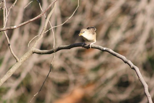 高考生物一轮复习要夯实基础