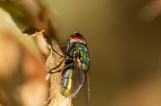 高考数学难点攻坚:常见立体几何题型和解题方法