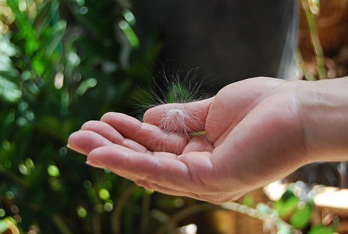 高一上第一次月考政治试卷及答案