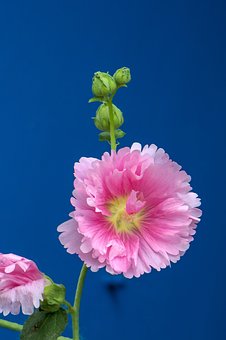 高一学生地理学习方法指导