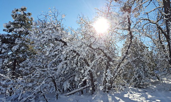 高二北师大版历史知识点