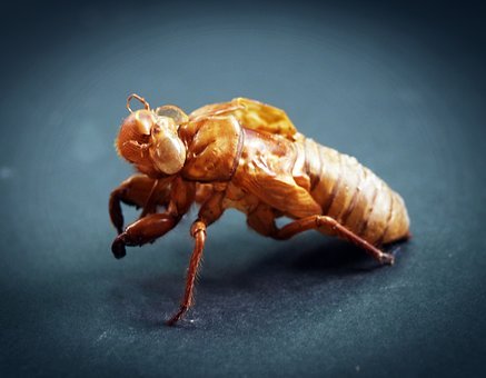 高中物理怎么才能开窍 高考物理偷分技巧总结