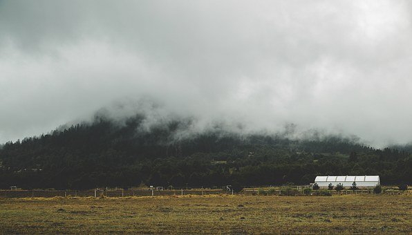 高一生物:细胞结构核心知识点精讲