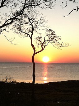 高考历史必考知识点：新文化运动
