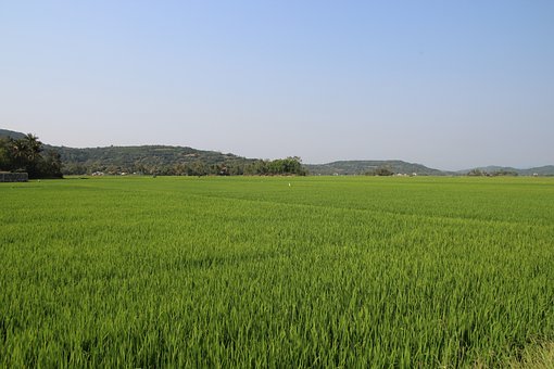 高一语文:必修3《劝学》文言文翻译