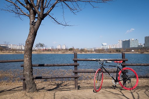名师指点高考化学做题细节决定成败