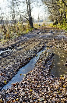 天津科技大学招生分数优先