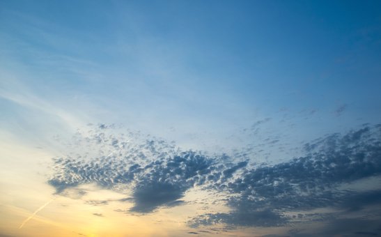 普通高等学校招生全国统一考试大纲：物理
